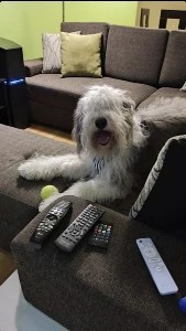 Hewlett Packard Enterprise